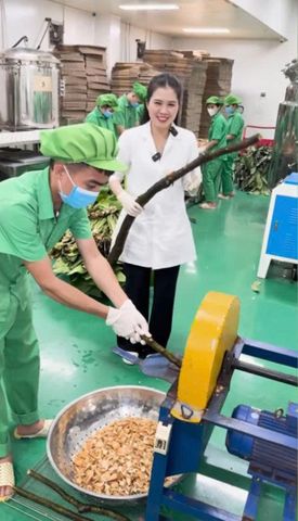 HÀNH TRÌNH SẢN XUẤT DD XOA BÓP MỘC LÂM AN DRCELL