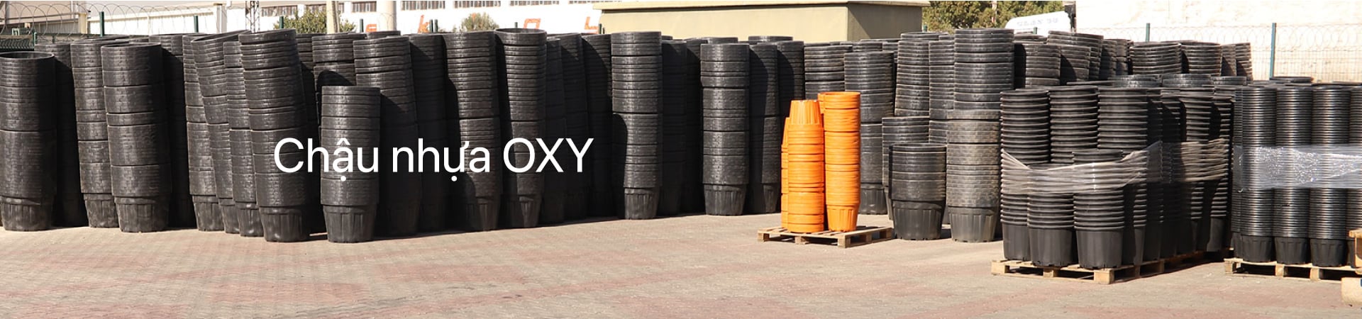 Chậu nhựa OXY ( xuất xứ Thổ Nhĩ Kì)
