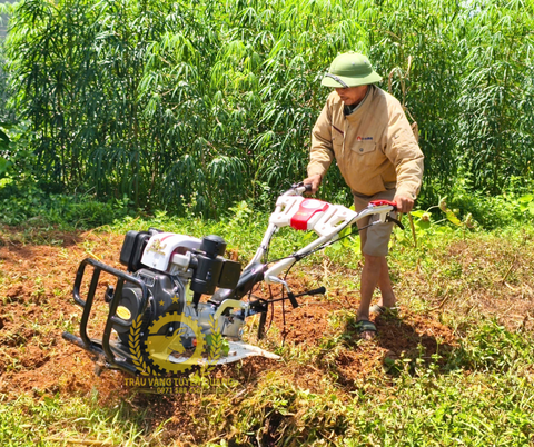 So sánh máy xới đất mini và máy xới đất đầu nổ D8