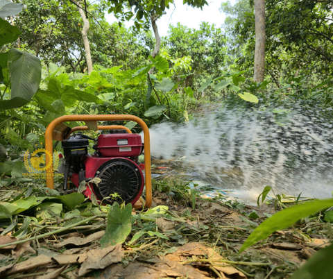 MÁY BƠM NƯỚC CHẠY DẦU DIESEL – GIẢI PHÁP BƠM NƯỚC MẠNH MẼ, TIẾT KIỆM NHIÊN LIỆU