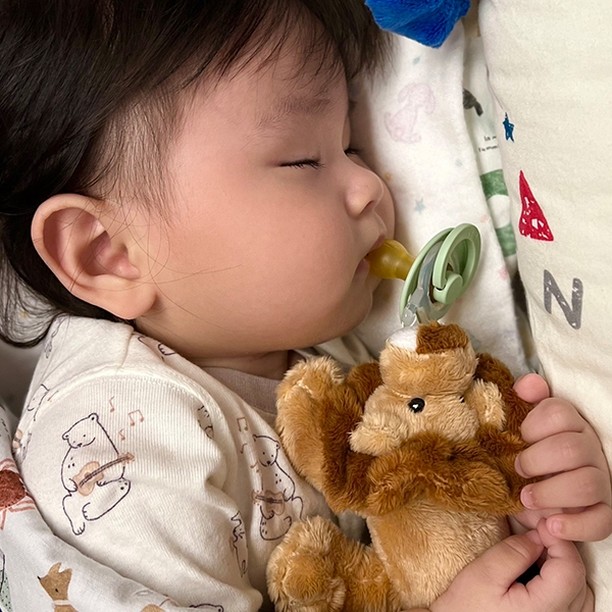 Nookums Núm Ti Silicone Kèm Thú Bông Cao Cấp An Toàn Cho Bé