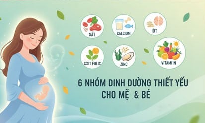6 Nhóm Dưỡng Chất Cho Mẹ Bầu Và Em Bé Trong Thai Kỳ Không Thể Thiếu