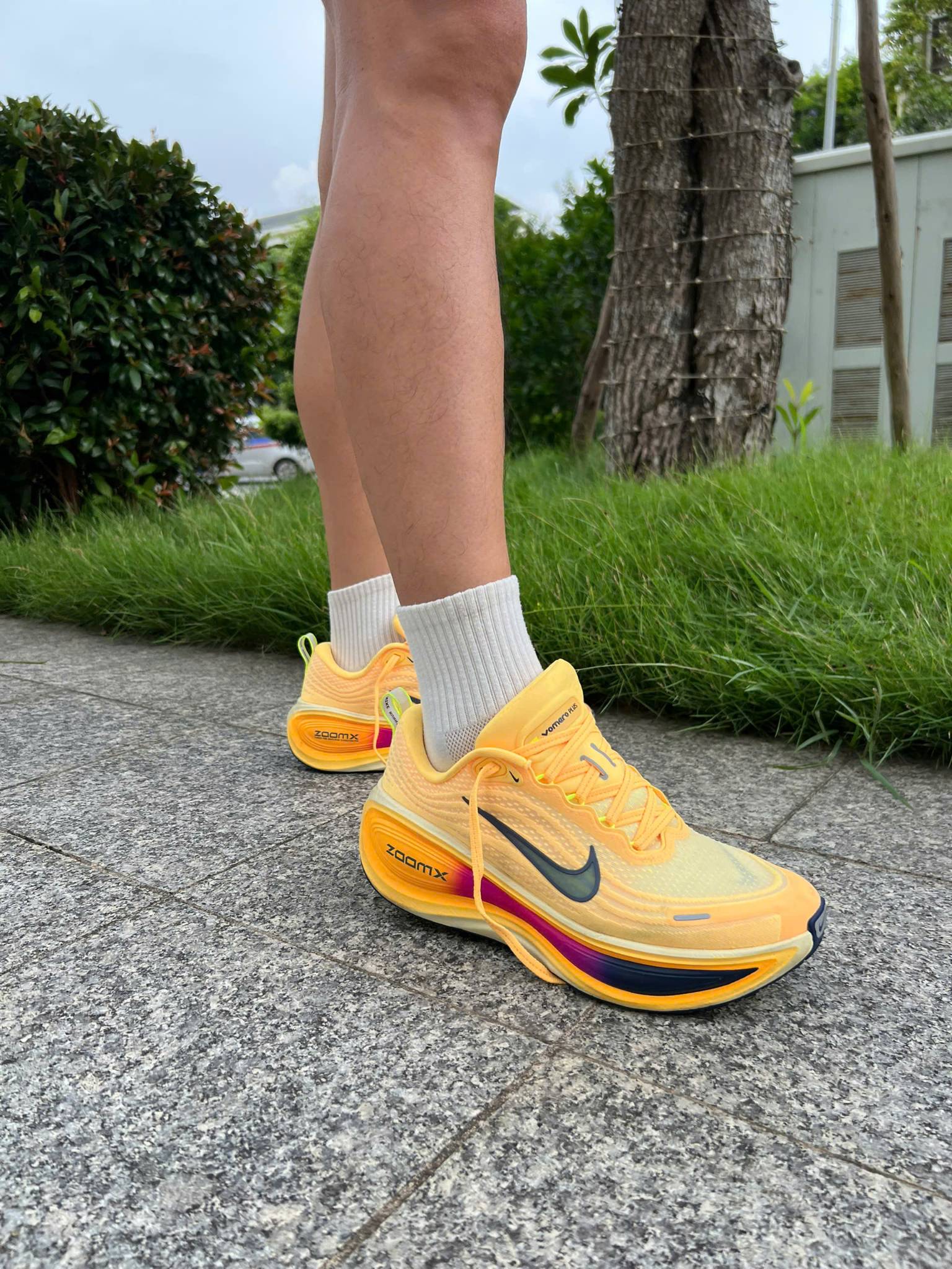 Đánh giá đôi giày chạy bộ adizero evo sl và đôi giày vomero plus sau khi chạy được 2 tháng
