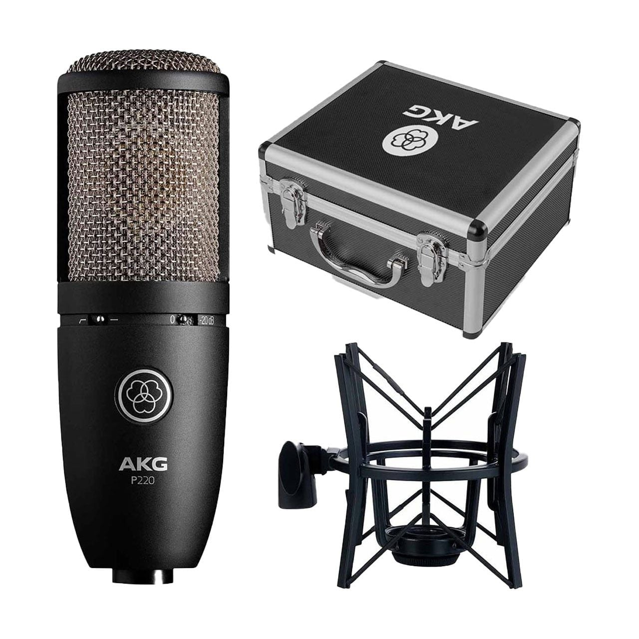 Combo Fender Quantum LT2 & AKG P220