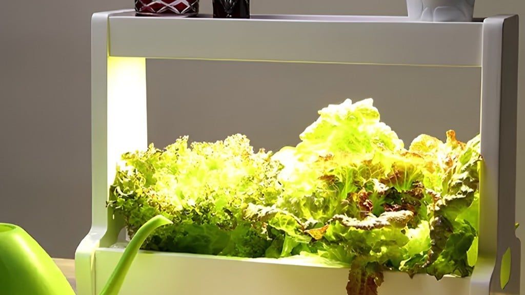 Bí Quyết Chọn Đèn Trồng Cây Akarina MotoM Cho Căn Hộ 2026
