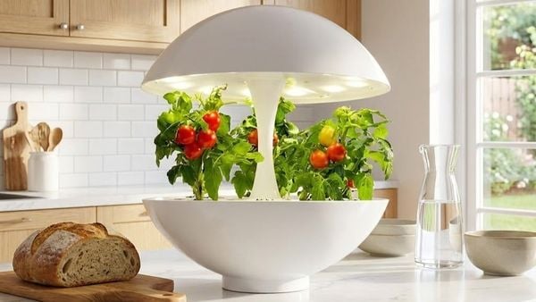 Công Nghệ Đèn LED Quang Hợp MotoM Cho Không Gian Xanh 2026