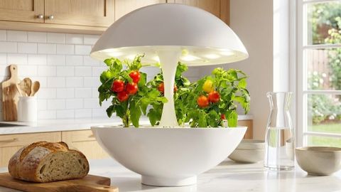 Công Nghệ Đèn LED Quang Hợp MotoM Cho Không Gian Xanh 2026