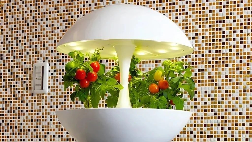 Đèn LED Quang Hợp Trồng Rau Thủy Canh Trong Nhà: Công Nghệ Sống Xanh Đô Thị