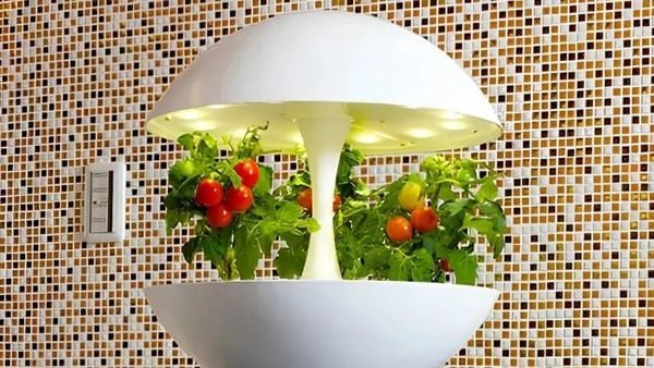 Đèn LED Quang Hợp Trồng Rau Thủy Canh Trong Nhà: Công Nghệ Sống Xanh Đô Thị
