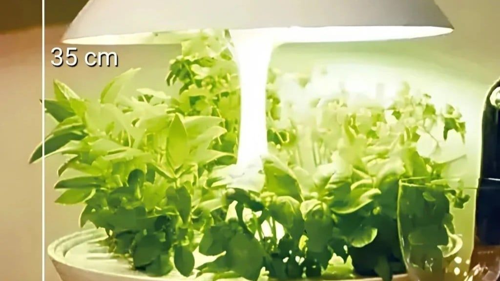 Đèn LED Trồng Rau Thủy Canh Akarina Motom: Giải Pháp Xanh & Decor Sang Trọng Cho Căn Hộ