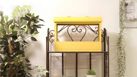 Giải Pháp Trồng Rau Sạch Trong Nhà Độc Đáo Với Đèn Thủy Canh LED Akarina MotoM
