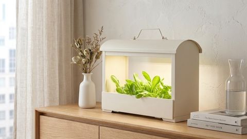 Giải Pháp Trồng Rau Sạch Thủy Canh Trong Nhà Không Cần Nắng Bằng Đèn LED Akarina MotoM