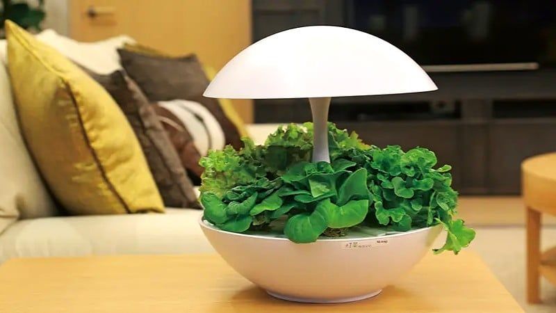 Giải Pháp Chiếu Sáng Cây Xanh Trong Nhà Bằng Đèn LED Akarina MotoM 2026