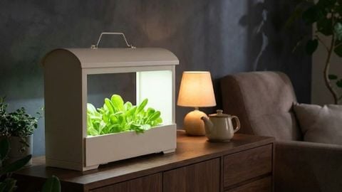 Phân Tích Công Nghệ Ánh Sáng Quang Hợp Tối ƯU Trên Đèn Trồng Cây Akarina