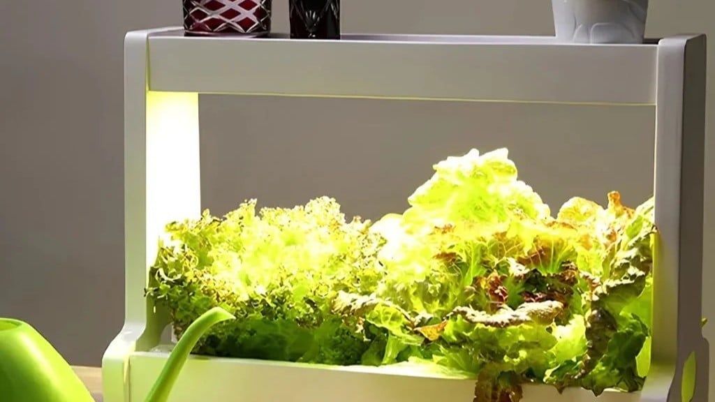 Giải Pháp Trồng Rau Sạch Trong Nhà Bằng Đèn LED Thủy Canh Akarina Chuẩn Nhật Bản