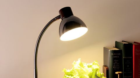 Tiêu Chuẩn Chọn Đèn Bàn Học Và Làm Việc Chống Cận Thị Chuẩn Nhật