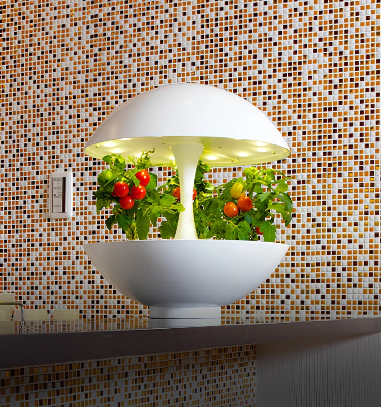 Đèn trồng cây thủy canh Akarina MotoM Nhật Bản trang trí không gian xanh