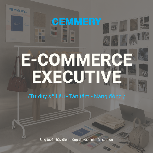 E-commerce Operations Executive