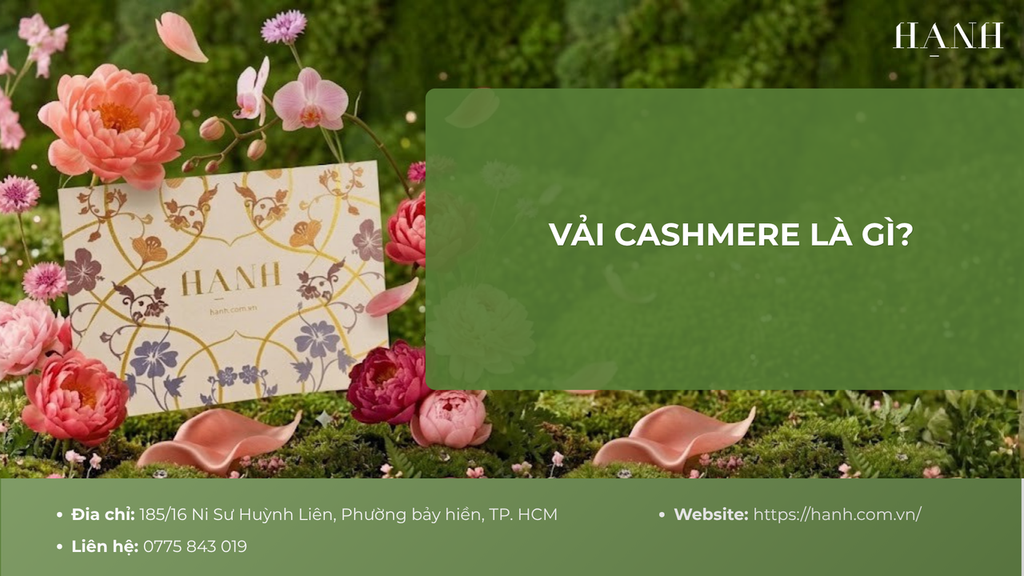 Vải Cashmere là gì? Đặc điểm và phân loại chất liệu đắt đỏ