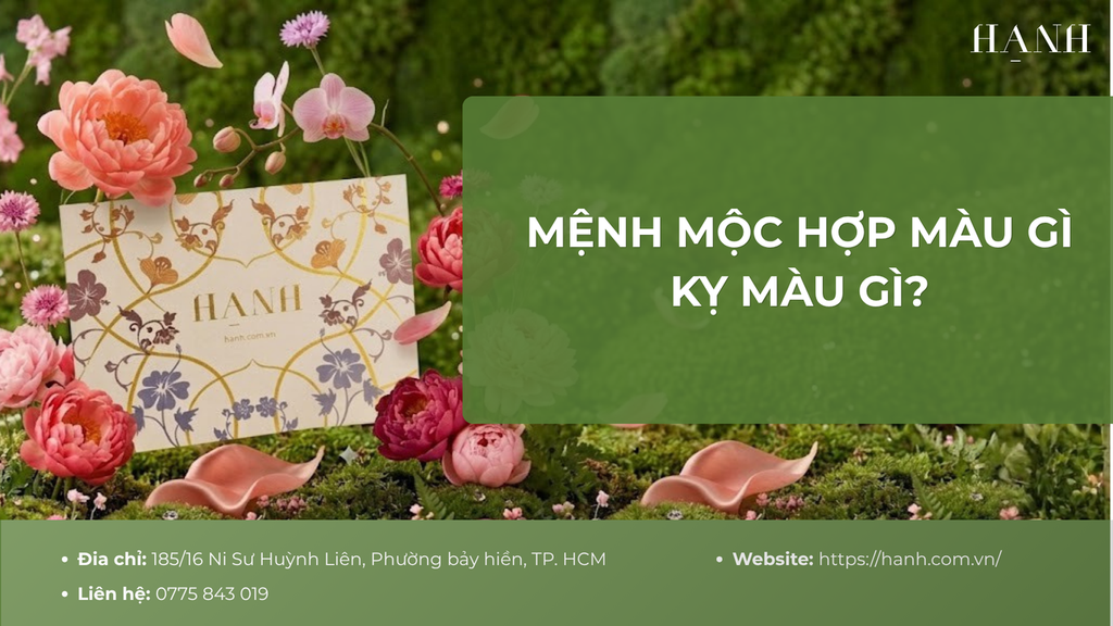 Mệnh Mộc hợp màu gì, kỵ màu gì? Cách phối đồ cho người mệnh Mộc