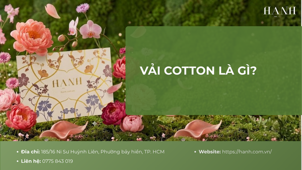 Vải Cotton là gì? Đặc điểm, phân loại và cách nhận biết chính xác