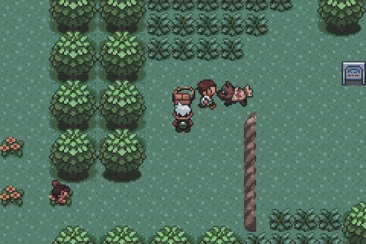 Bản hack ROM Pokémon Emerald mới mang đến vùng đất Hoenn từ một góc nhìn hoàn toàn mới