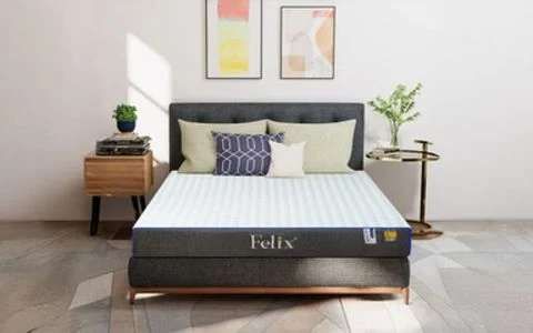 Top 3+ Cửa Hàng Nệm Cao Su Bến Tre Uy Tín Chính Hãng Giá Tốt