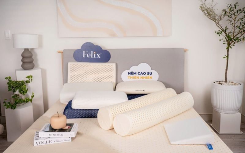 Top 10 cửa hàng nệm chất lượng tại tiền giang