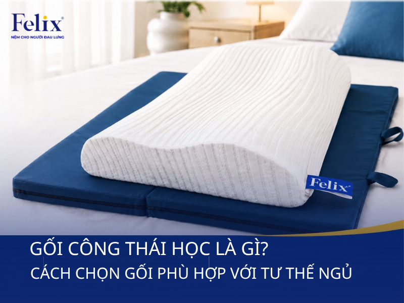 Gối Công Thái Học Là Gì? Cách Chọn Gối Phù Hợp Tư Thế Ngủ