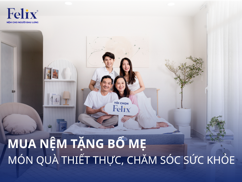 Mua Nệm Tặng Bố Mẹ: Gợi Ý Món Quà Thiết Thực, Chăm Sóc Sức Khỏe