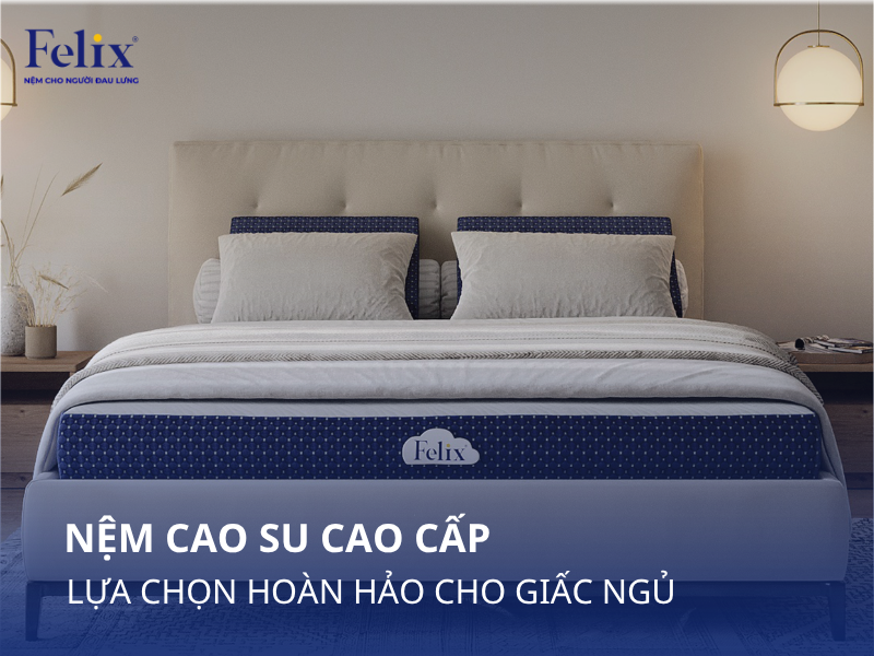 Nệm Cao Su Cao Cấp: Lựa Chọn Hoàn Hảo Cho Giấc Ngủ Ngon & Êm Ái