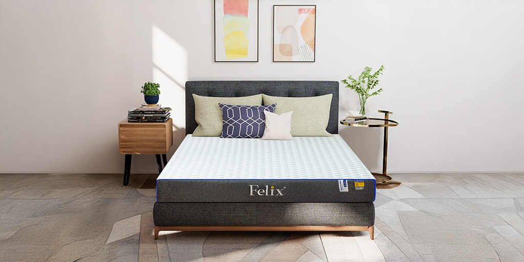 Top 10 Dòng Nệm Cho Người Đau Lưng Được Ưa Chuộng Tại Felix