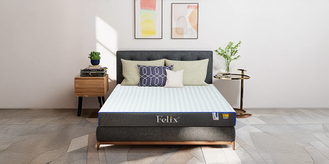 Top 10 Dòng Nệm Cho Người Đau Lưng Được Ưa Chuộng Tại Felix