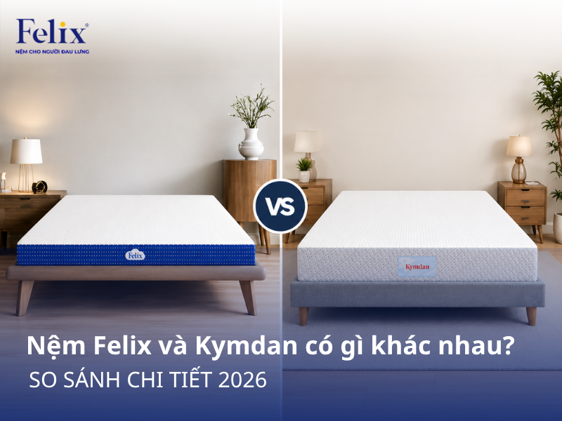 Nệm Felix và Kymdan có gì khác nhau? So sánh chi tiết 2026