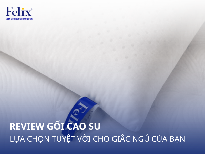 Review Gối Cao Su: Lựa Chọn Tuyệt Vời Cho Giấc Ngủ Của Bạn