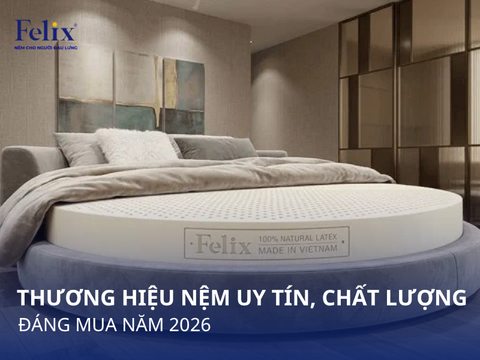 Top 10 Thương Hiệu Nệm Uy Tín, Chất Lượng Đáng Mua Nhất 2026