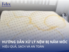 Hướng dẫn xử lý nệm bị nấm mốc hiệu quả, sạch và an toàn