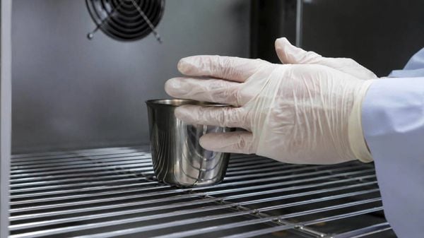 Kiểm định nghiêm ngặt chất lượng mủ cao su