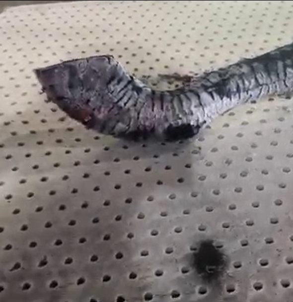 Test chống cháy (demo)