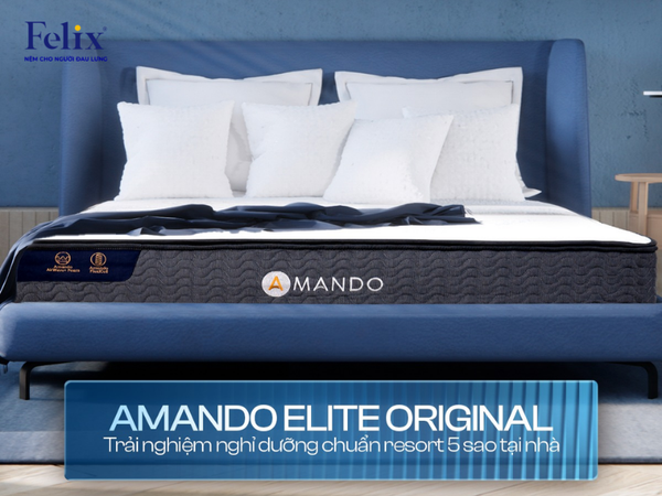 Amando - Nệm foam và hybrid hiện đại