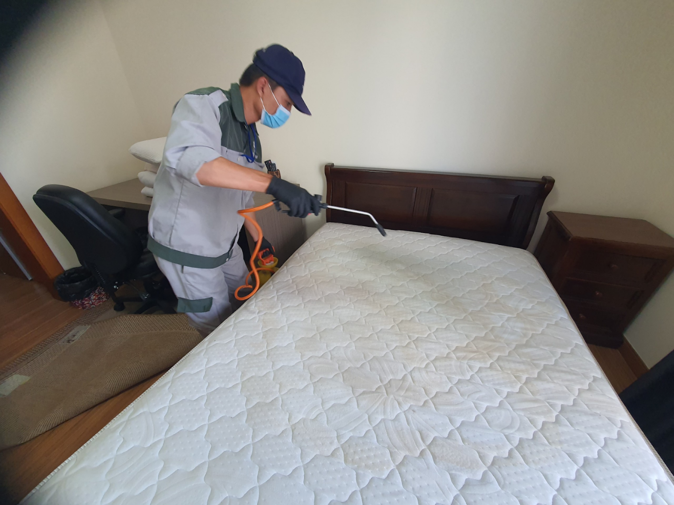 Vệ sinh nệm (demo)