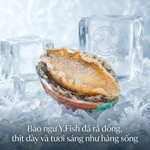 Bí quyết làm Bào Ngư Y.Fish nướng mỡ hành chuẩn vị nhà hàng 5 sao