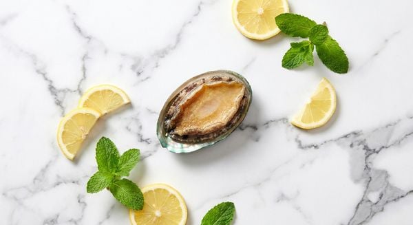 Mua bào ngư Úc Viền Xanh NISSI ở đâu uy tín TPHCM