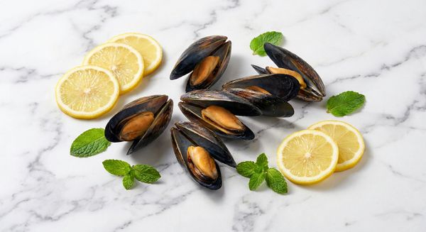 Mua vẹm đen nửa mảnh số lượng lớn