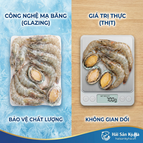 Sự Thật Về Lớp Mạ Băng (Glazing) Trên Hải Sản Nhập Khẩu: Bạn Đang 