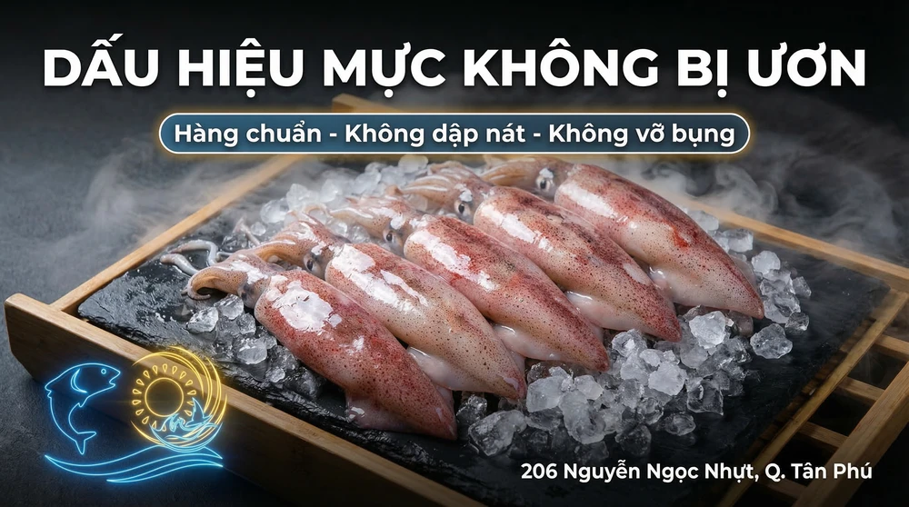 Cách chọn mực trứng tươi ngon, ôm bầu trứng 100% không bị ươn hay vỡ bụng hình 2
