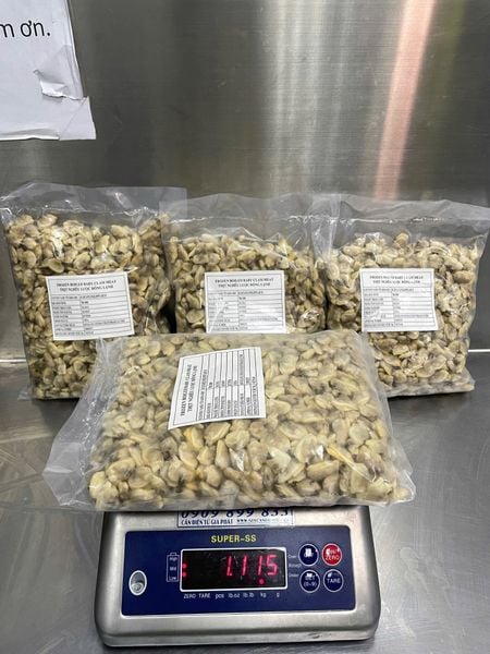 Thịt nghêu - Kho sỉ hải sản kỳ hà