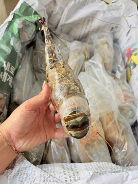 Tôm hùm đông lạnh size 400-500g net8 tại Hải Sản Kỳ Hà