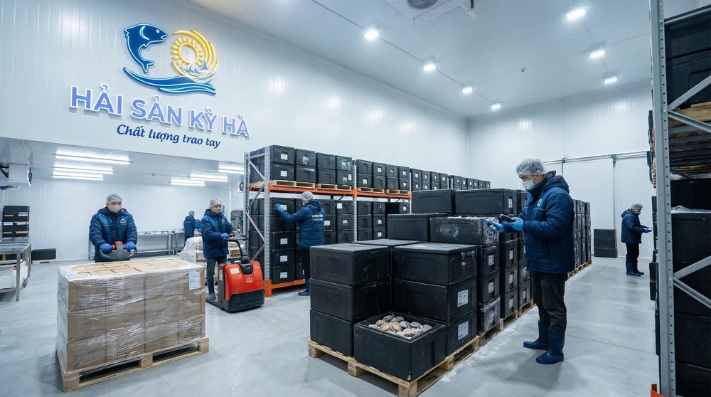 Bảng giá sỉ Bào ngư đông lạnh cho quán ăn, nhà hàng tiệc cưới mới nhất. hình 2