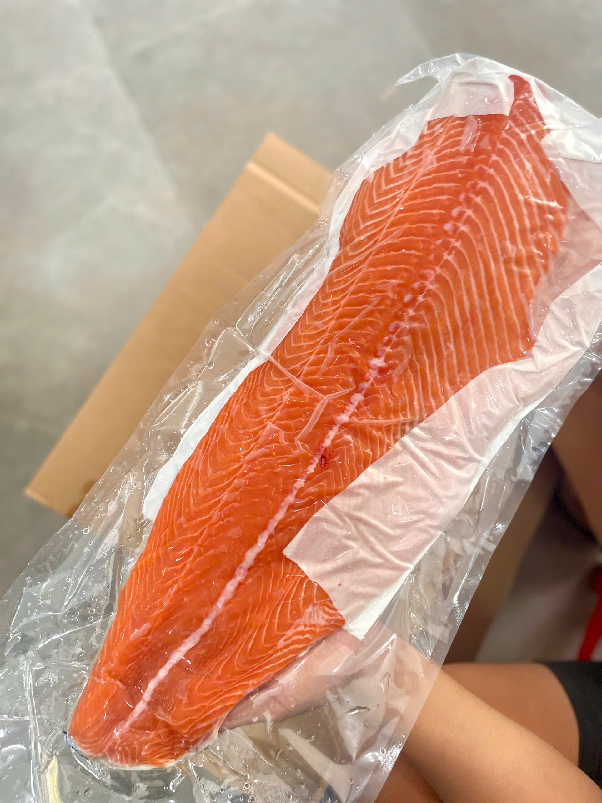 Đĩa cá hồi sashimi tươi ngon, cắt lát dày